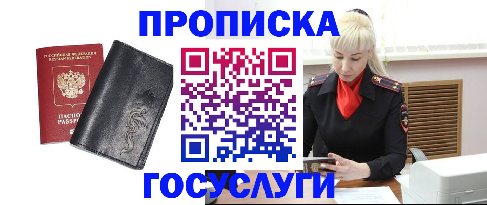 прописка поиск в Камышине